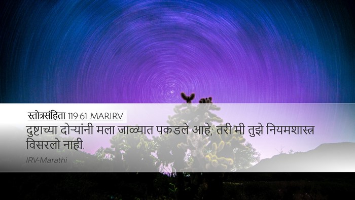 स्तोत्रसंहिता 119:61 MARIRV Bible Verse Image