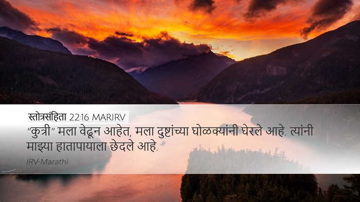 स्तोत्रसंहिता 22:16 MARIRV Bible Verse Image