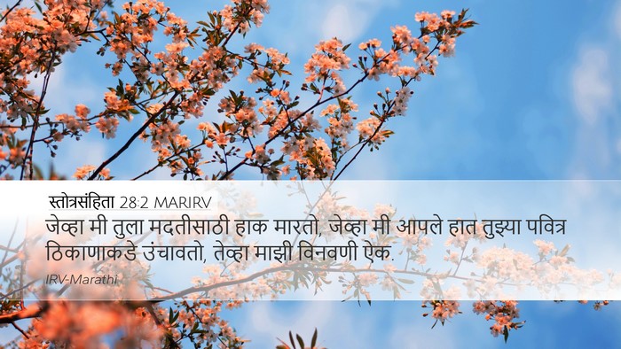 स्तोत्रसंहिता 28:2 MARIRV Bible Verse Image