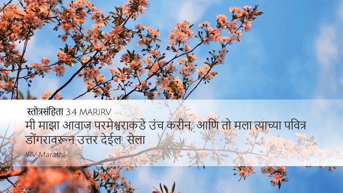 स्तोत्रसंहिता 3:4 MARIRV Bible Verse Image
