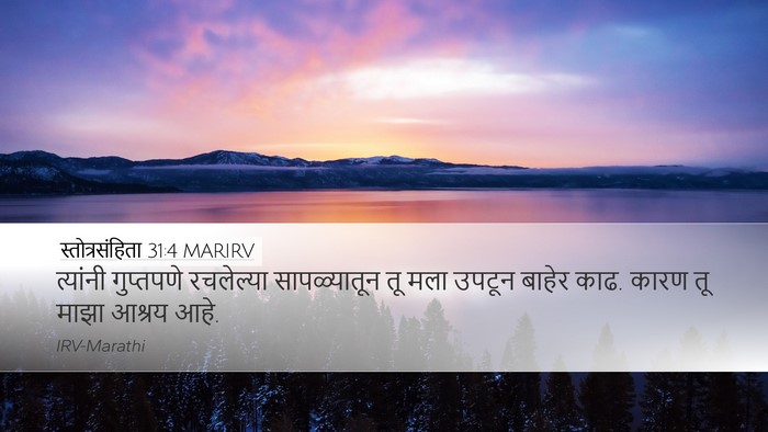 स्तोत्रसंहिता 31:4 MARIRV Bible Verse Image