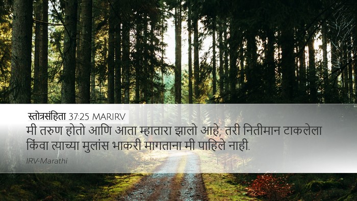 स्तोत्रसंहिता 37:25 MARIRV Bible Verse Image
