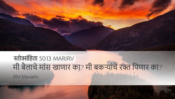 स्तोत्रसंहिता 50:13 MARIRV Bible Verse Image
