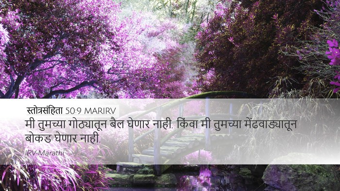 स्तोत्रसंहिता 50:9 MARIRV Desktop Wallpaper - मी तुमच्या - Desktop Bible Verse Wallpaper