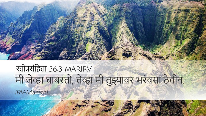 स्तोत्रसंहिता 56:3 MARIRV Bible Verse Image