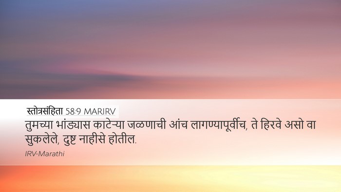 स्तोत्रसंहिता 58:9 MARIRV Bible Verse Image