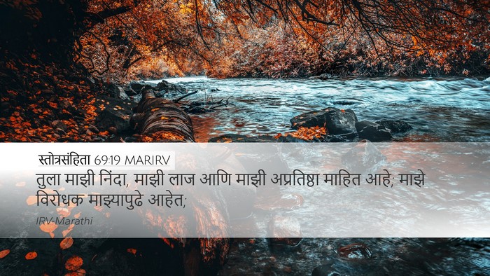 स्तोत्रसंहिता 69:19 MARIRV Desktop Wallpaper - तुला माझी निंदा, - Desktop Bible Verse Wallpaper