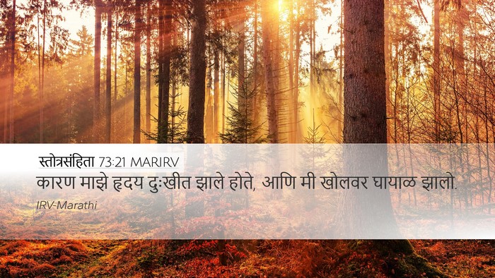 स्तोत्रसंहिता 73:21 MARIRV Desktop Wallpaper - कारण माझे हृदय - Desktop Bible Verse Wallpaper