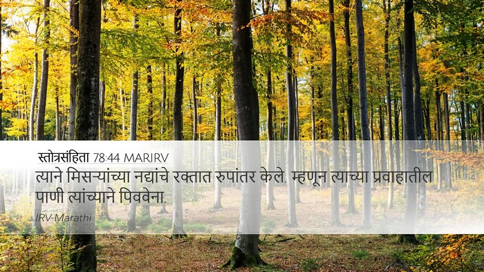 स्तोत्रसंहिता 78:44 MARIRV Desktop Wallpaper - त्याने - Desktop Bible Verse Wallpaper