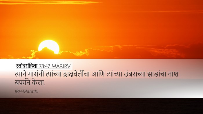 स्तोत्रसंहिता 78:47 MARIRV Bible Verse Image