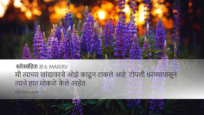 स्तोत्रसंहिता 81:6 MARIRV Bible Verse Image
