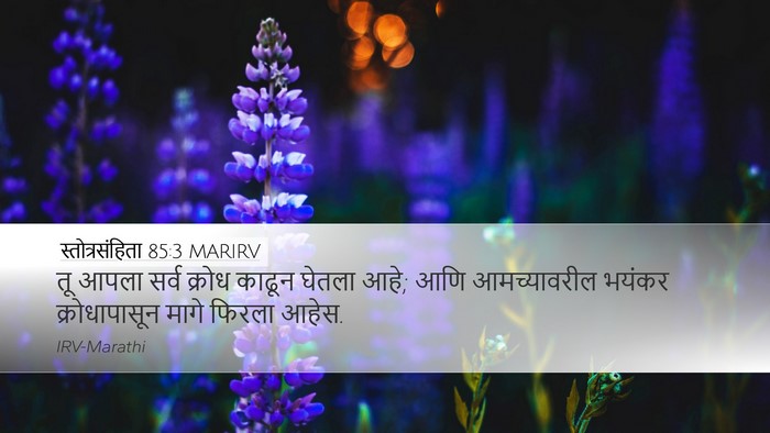 स्तोत्रसंहिता 85:3 MARIRV Desktop Wallpaper - तू आपला सर्व क्रोध - Desktop Bible Verse Wallpaper