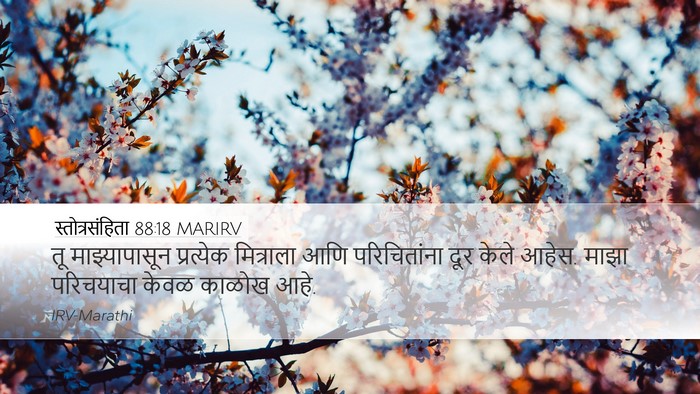 स्तोत्रसंहिता 88:18 MARIRV Bible Verse Image