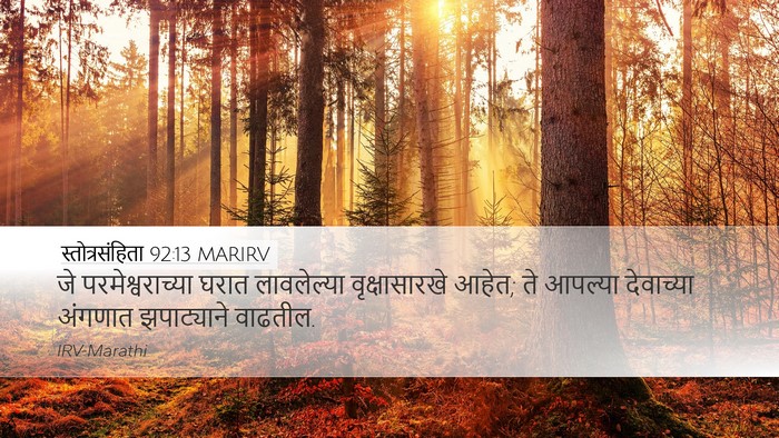 स्तोत्रसंहिता 92:13 MARIRV Bible Verse Image