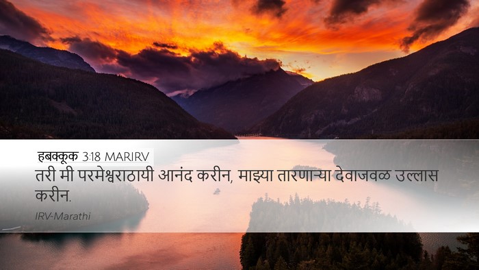 हबक्कूक 3:18 MARIRV Bible Verse Image