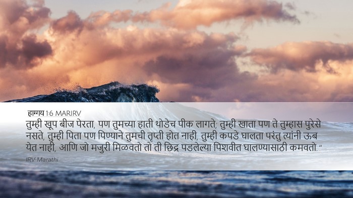 हाग्गय 1:6 MARIRV Bible Verse Image