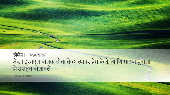 होशेय 11:1 MARIRV Bible Verse Image