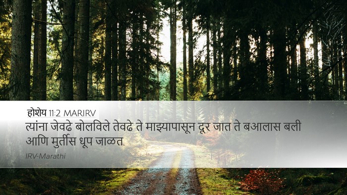 होशेय 11:2 MARIRV Bible Verse Image