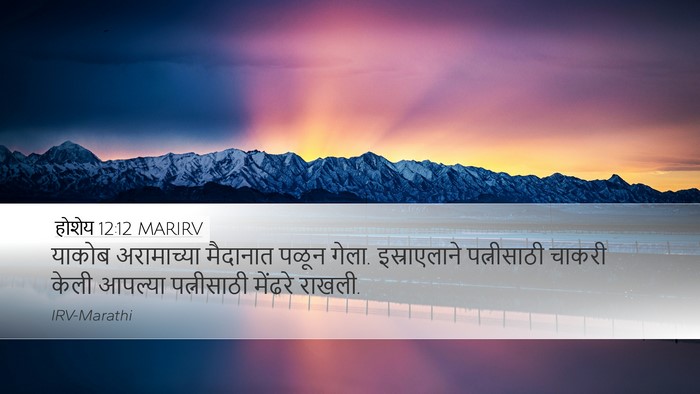 होशेय 12:12 MARIRV Bible Verse Image