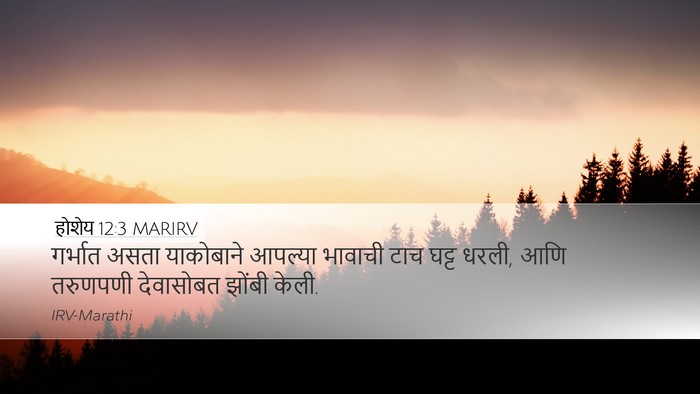 होशेय 12:3 MARIRV Bible Verse Image