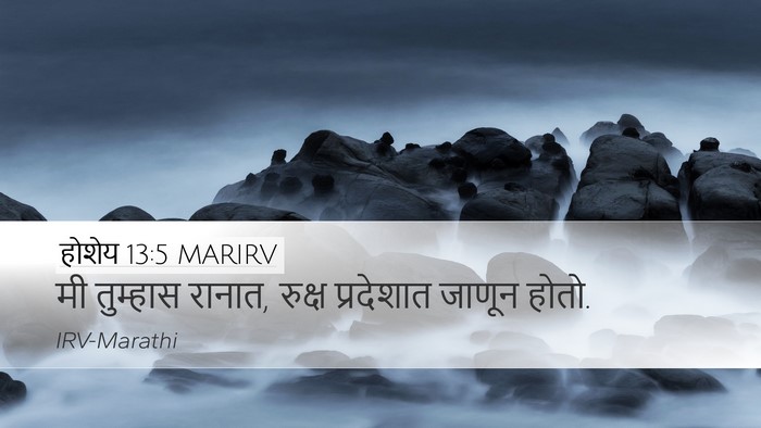होशेय 13:5 MARIRV Bible Verse Image