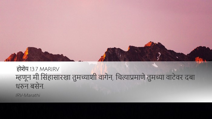 होशेय 13:7 MARIRV Bible Verse Image