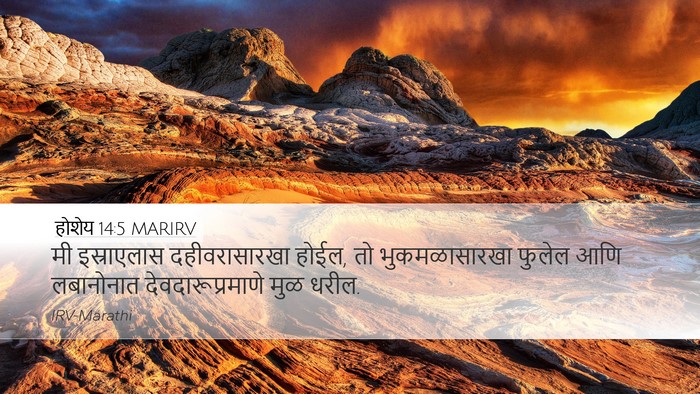 होशेय 14:5 MARIRV Bible Verse Image