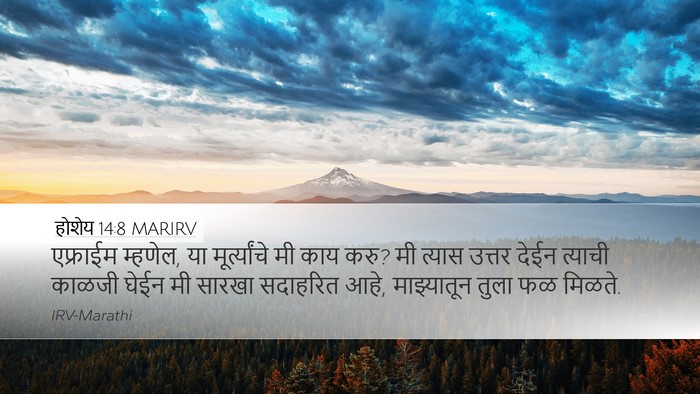 होशेय 14:8 MARIRV Bible Verse Image