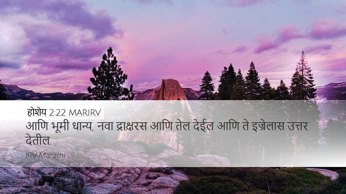 होशेय 2:22 MARIRV Bible Verse Image