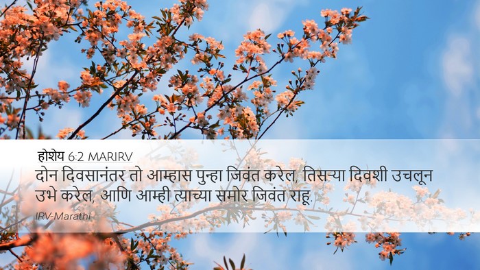 होशेय 6:2 MARIRV Bible Verse Image