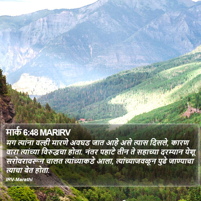मार्क 6:48 MARIRV - मग त्यांना वल्ही