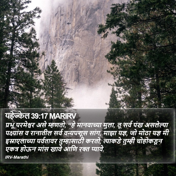 यहेज्केल 39:17 MARIRV - प्रभू परमेश्वर