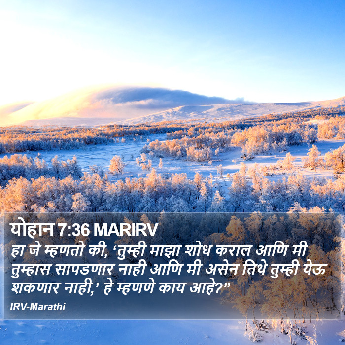 योहान 7:36 MARIRV - हा जे म्हणतो की,