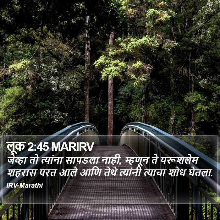 लूक 2:45 MARIRV - जेव्हा तो त्यांना