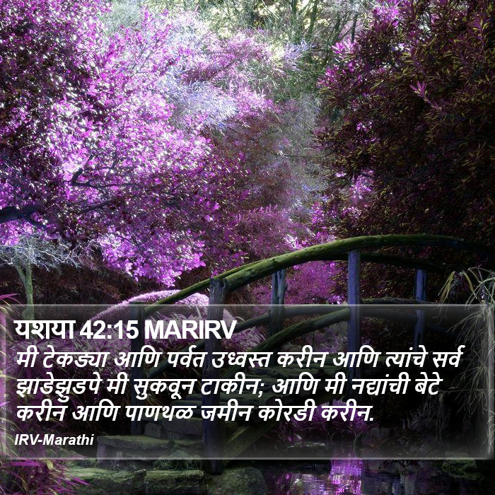यशया 42:15 MARIRV - मी टेकड्या आणि - Bible Verse Picture