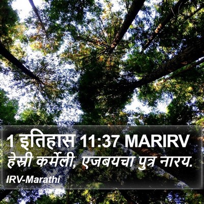 1 इतिहास 11:37 MARIRV Bible Verse Image