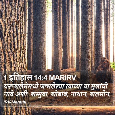 1 इतिहास 14:4 MARIRV Bible Verse Image