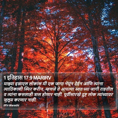 1 इतिहास 17:9 MARIRV Bible Verse Image