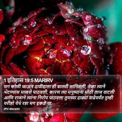 1 इतिहास 19:5 MARIRV Bible Verse Image