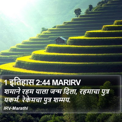 1 इतिहास 2:44 MARIRV Bible Verse Image