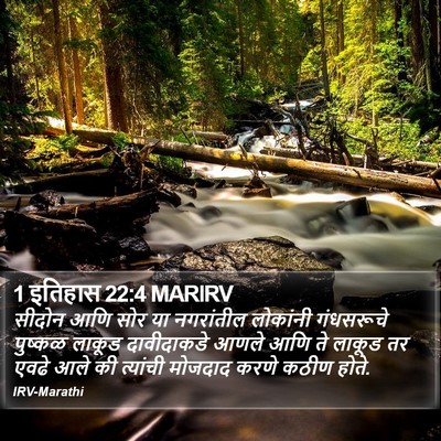 1 इतिहास 22:4 MARIRV Bible Verse Image