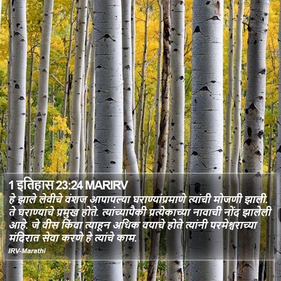 1 इतिहास 23:24 MARIRV Bible Verse Image
