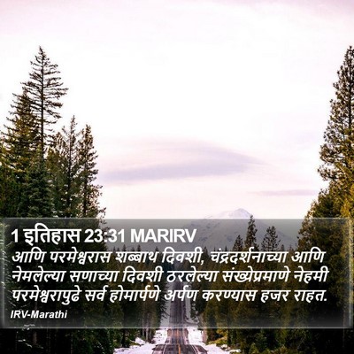 1 इतिहास 23:31 MARIRV Bible Verse Image