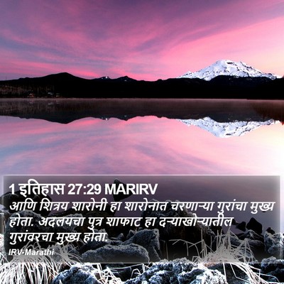 1 इतिहास 27:29 MARIRV Bible Verse Image