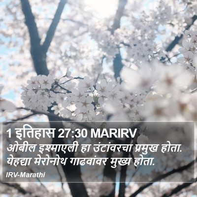 1 इतिहास 27:30 MARIRV Bible Verse Image