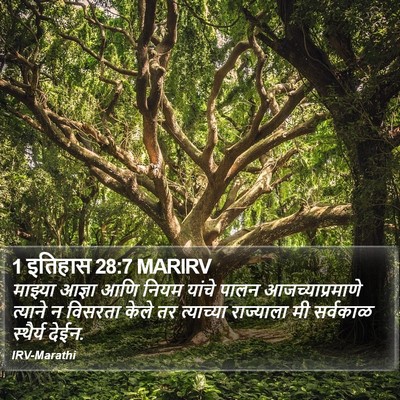 1 इतिहास 28:7 MARIRV Bible Verse Image
