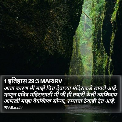 1 इतिहास 29:3 MARIRV Bible Verse Image