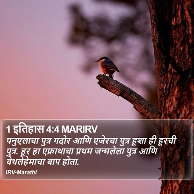1 इतिहास 4:4 MARIRV Bible Verse Image