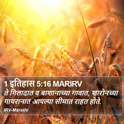 1 इतिहास 5:16 MARIRV Bible Verse Image