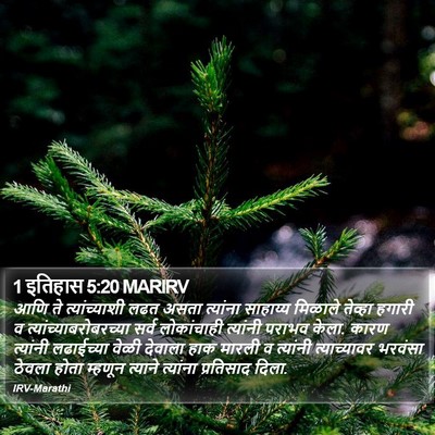 1 इतिहास 5:20 MARIRV Bible Verse Image